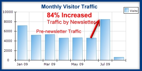 Monthly Patient Newsletter Web SiteTraffic Results Monthly Patient Newsletter Web SiteTraffic Results