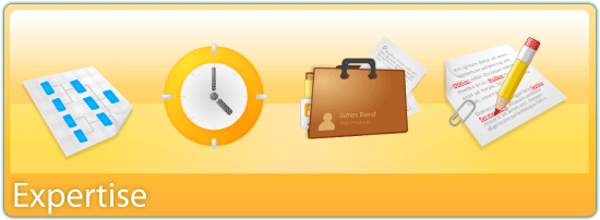 Level of expertise plays a key role in determining website design cost.